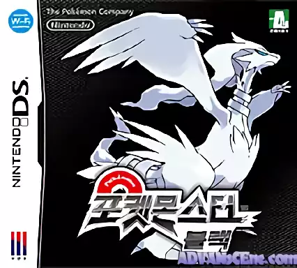 Image n° 1 - box : Pokemon - Black Version (DSi Enhanced)